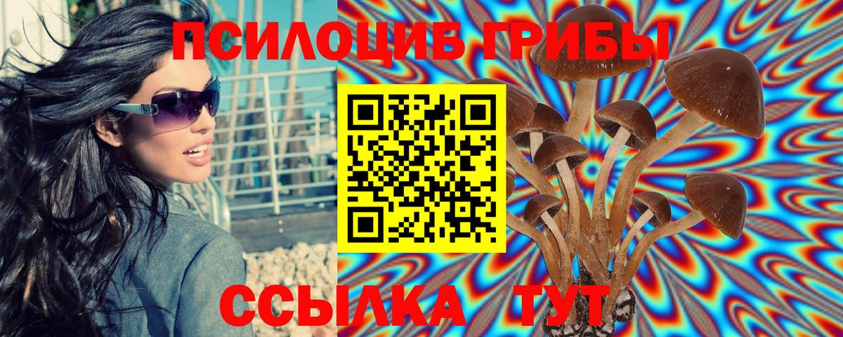 Всеволожск  Галлюциногенные грибы GOLDEN TEACHER  Псилоцибиновые грибы MAGIC MUSHROOMS  Вход с VPN 