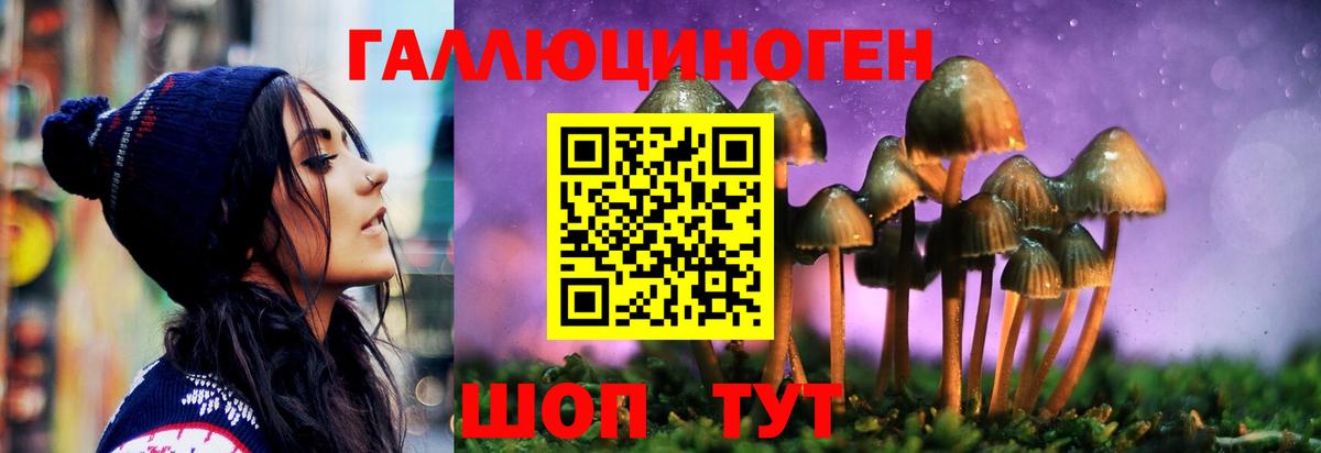 Псилоцибиновые грибы мухоморы Всеволожск